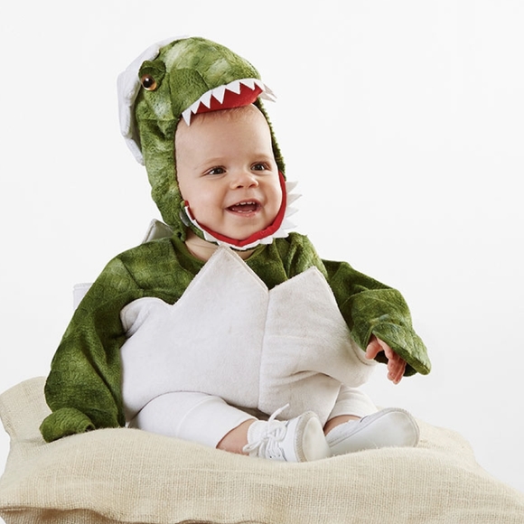 Pottery Barn Costumes Pottery Barn Baby Dinosaur Costume 224 Months Poshmark